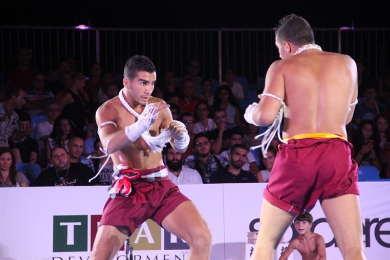 Martial Arts Festival